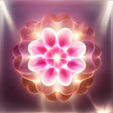 <tc>Mandala III - Blüte der Sehnsucht</tc>